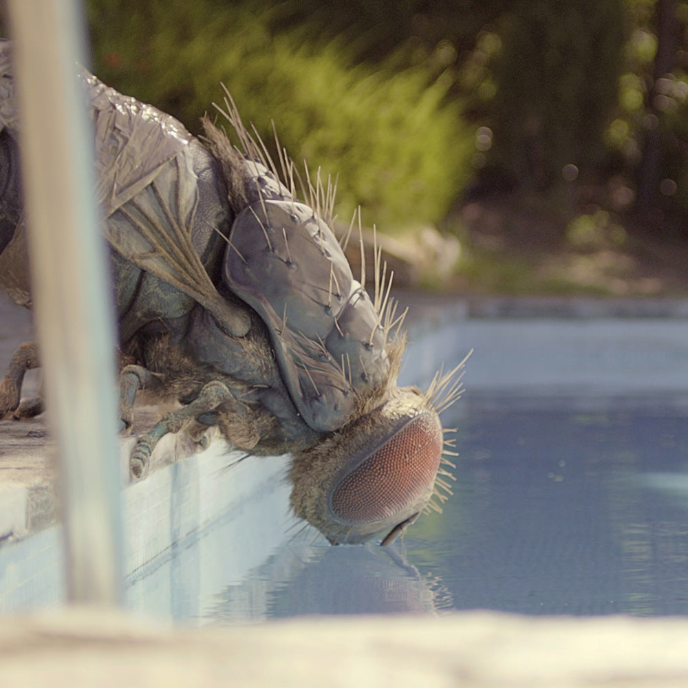 Metronomy - Mandibules