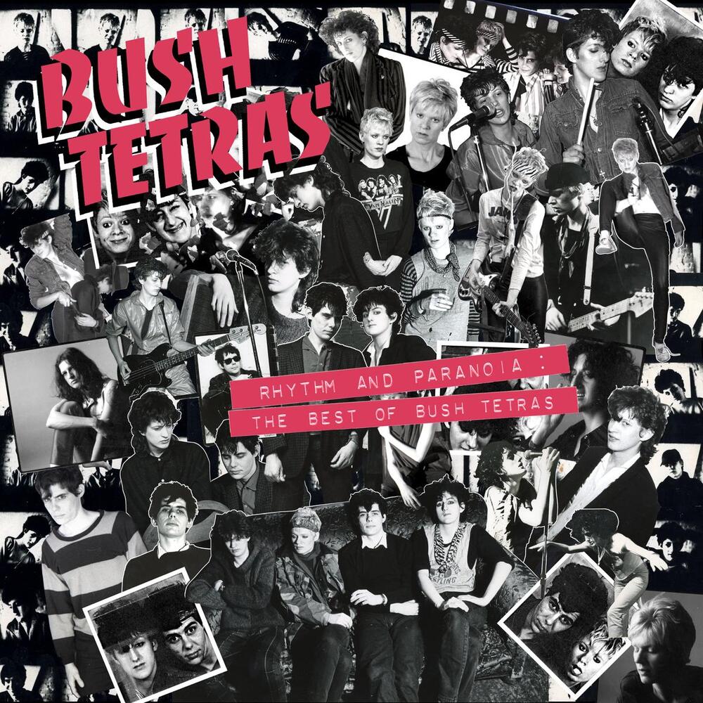 Bush Tetras - Rhythm and Paranoia: The Best of Bush Tetras