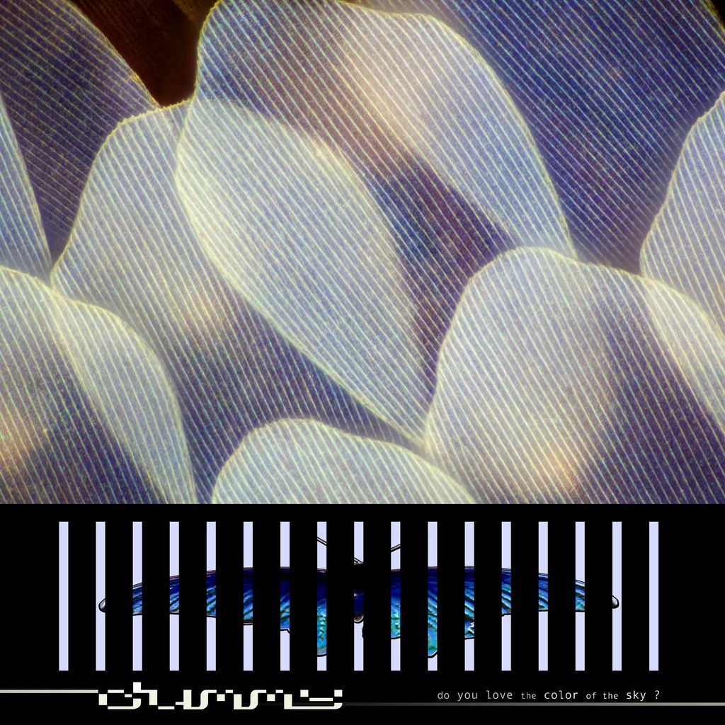 Dummy - do you love the color of the sky? | Study Hall Records Exclusive