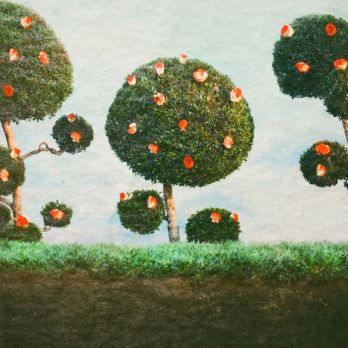 Midnight Sister - Painting the Roses Red