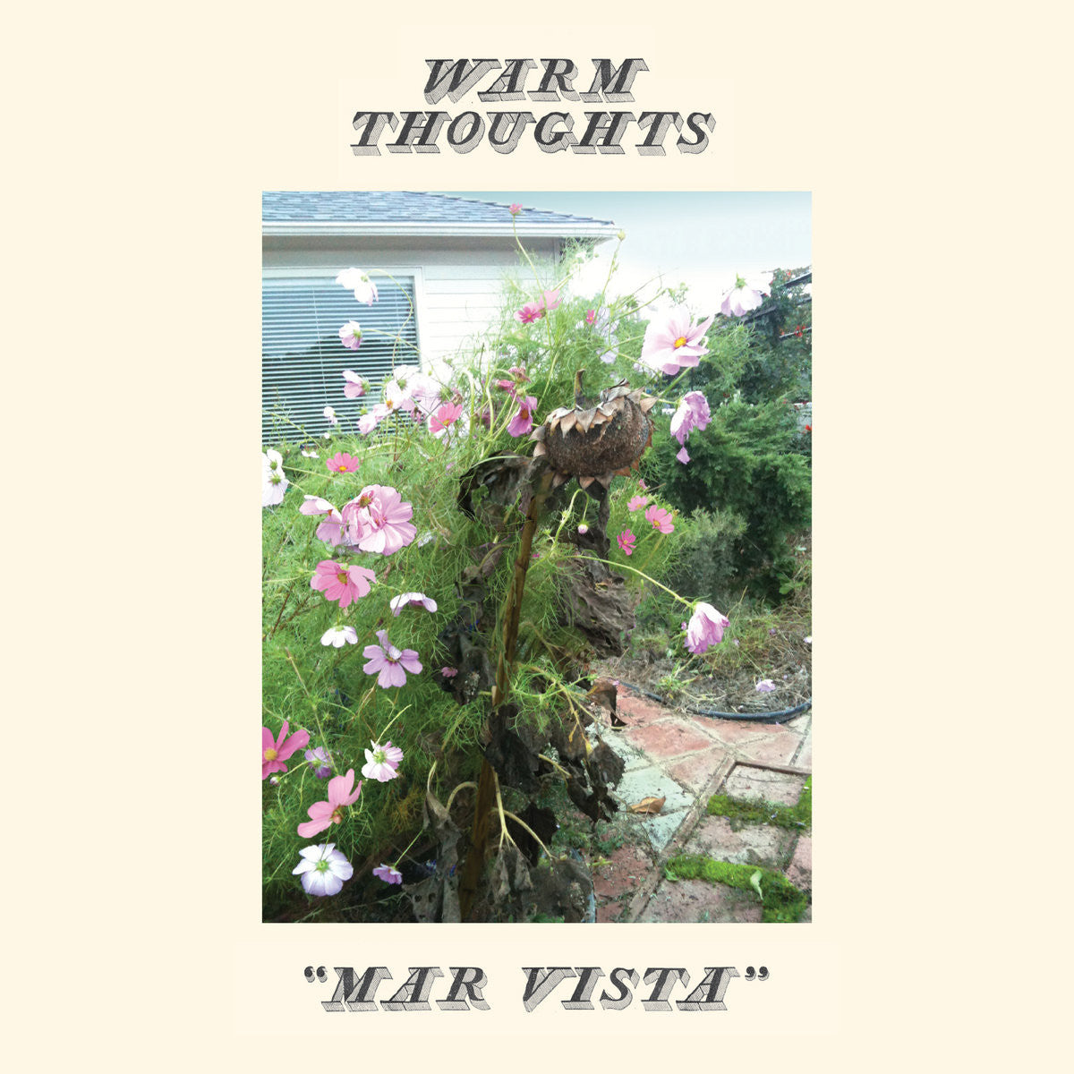 Warm Thoughts - Mar Vista