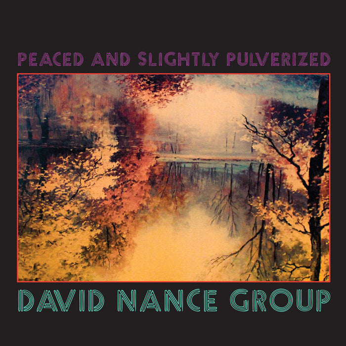 David Nance Group - Peaced and Slightly Pulverized