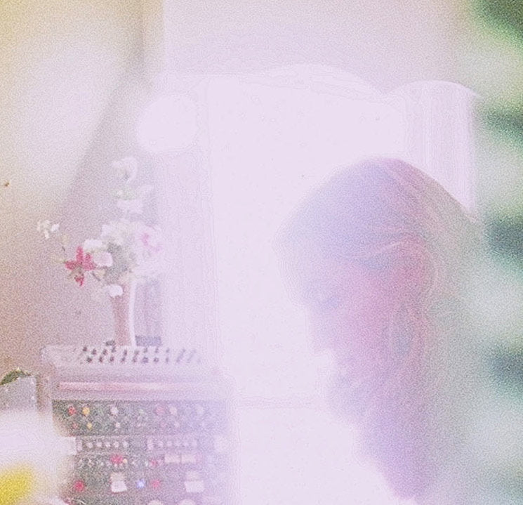 Joan Shelley - Ginko