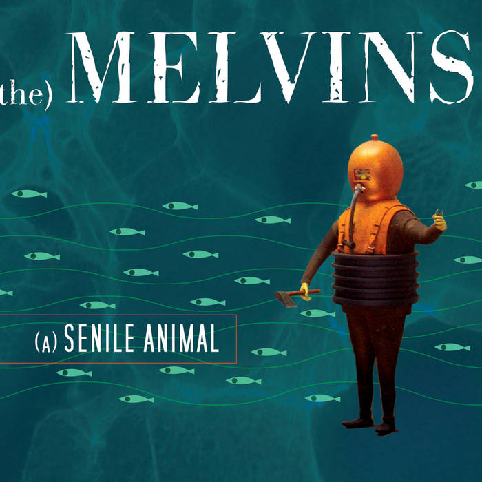Melvins - (A) Senile Animal