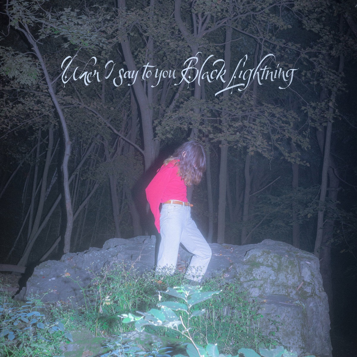 Common Holly - When I Say to you Black Lightning