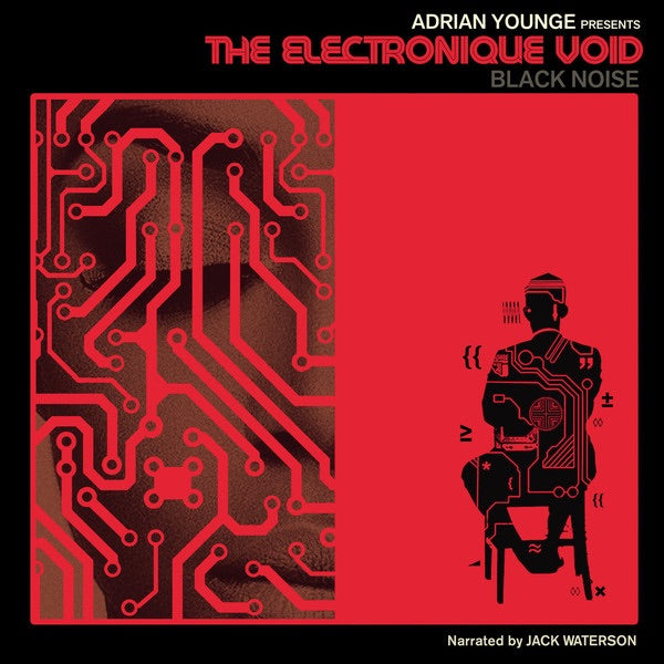 Adrian Younge Presents the Black Void - the Electronique Void