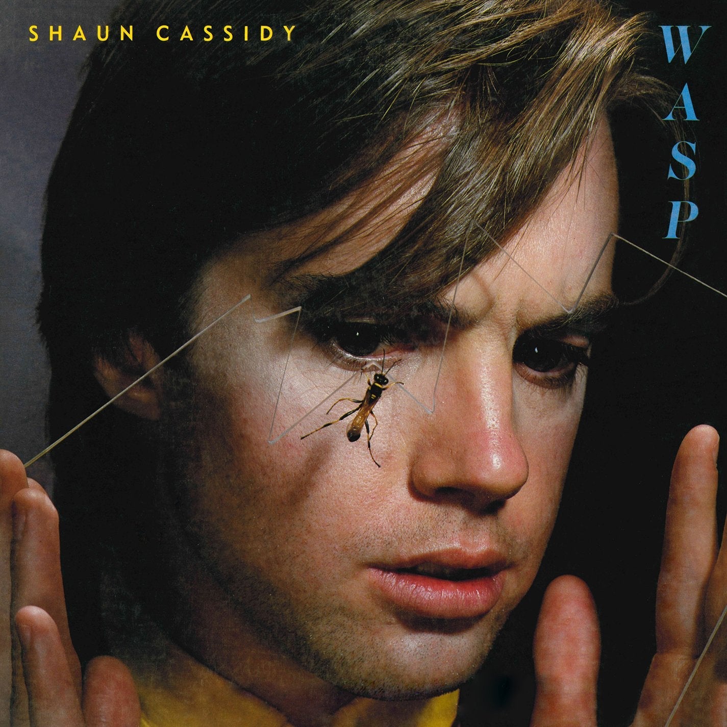 Shaun Cassidy - Wasp (RSD)
