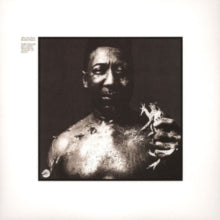 Muddy Waters - After The Rain