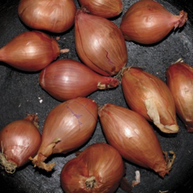 Ty Segall - Fried Shallots