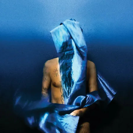 Devendra Banhart - Flying Wing
