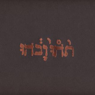 Godspeed You! Black Emperor - Slow Riot For New Zero Kanada EP