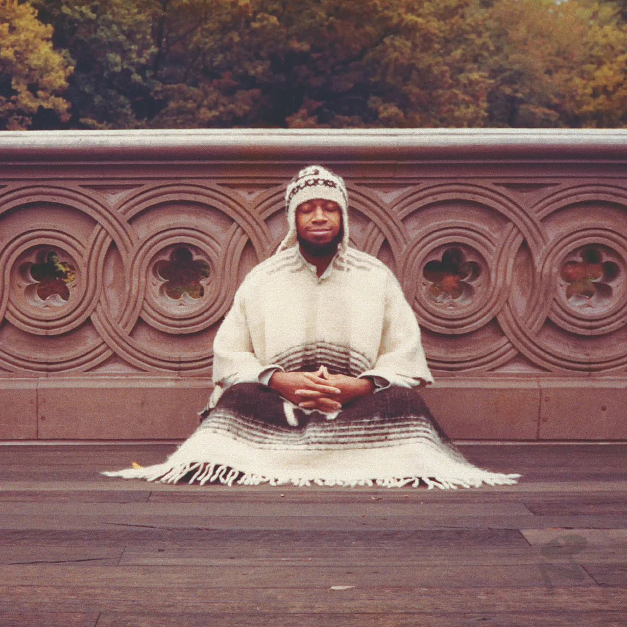 Laraaji - Segue to Infinity