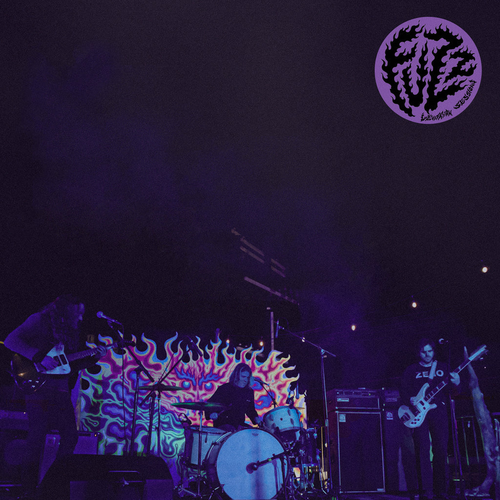 Fuzz - Levitation Sessions