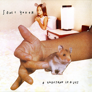 Sonic Youth - A Thousand Leaves