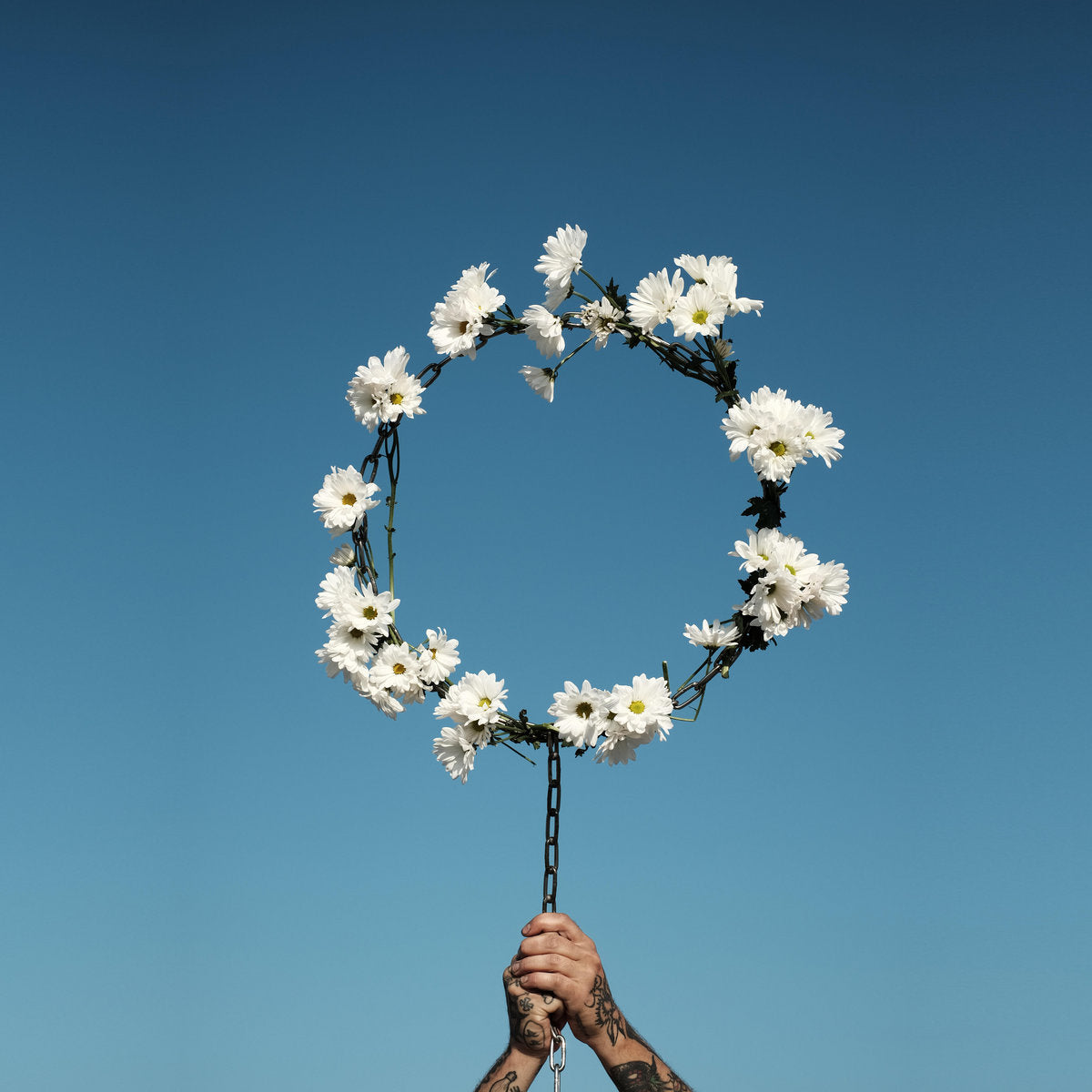 Daisy Chain - The World Is Not Spinning