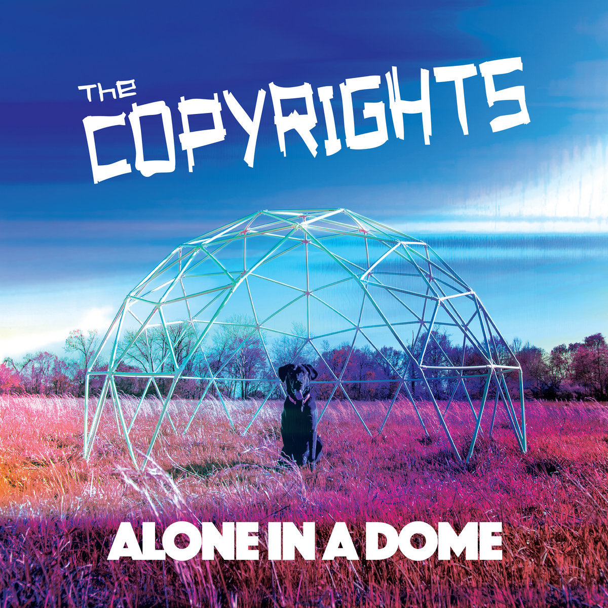 Copyrights - Alone in a Dome