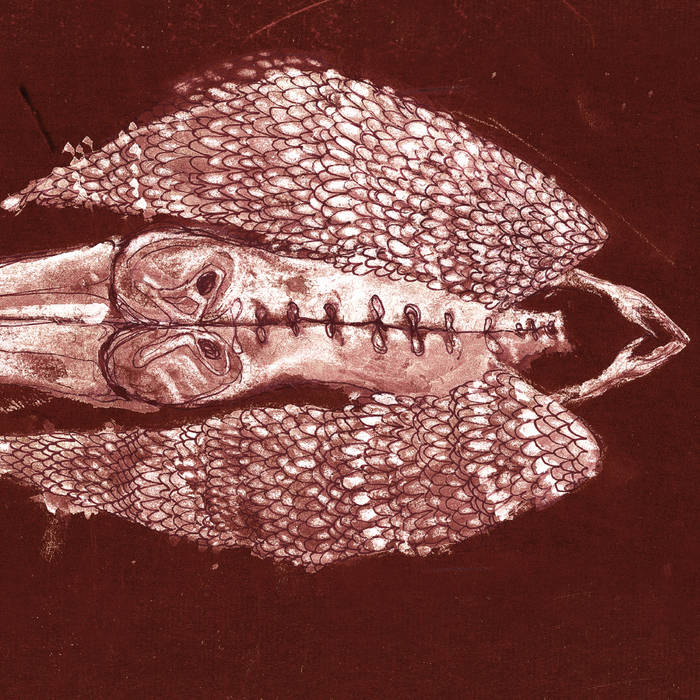 Cerberus Shoal - Homb (Anniversary Edition)
