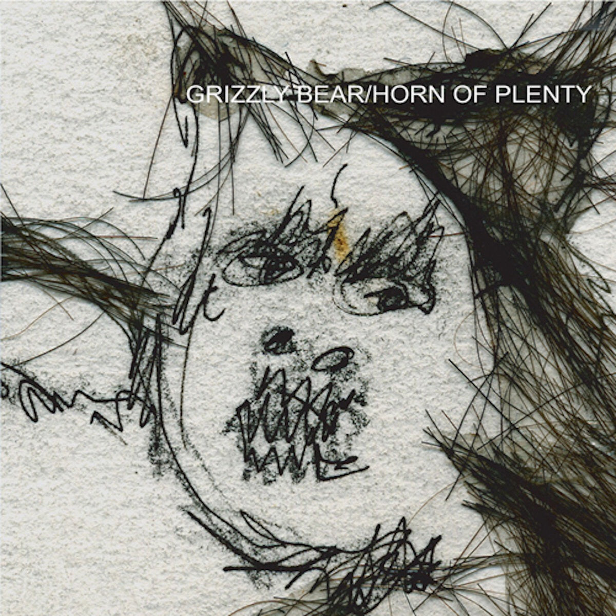 Grizzly Bear - Horn of Plenty