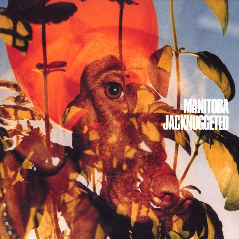 Manitoba - Jacknuggeted