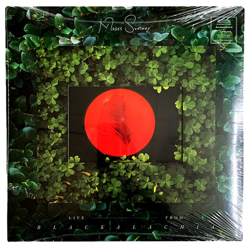 Moses Sumney - Live from Blackalachia